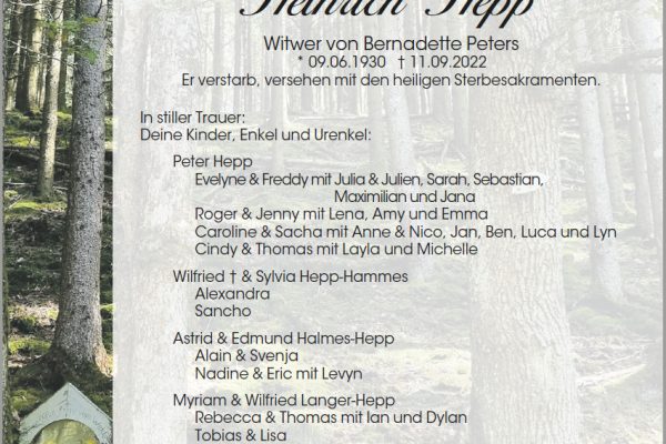 Heinrich Hepp