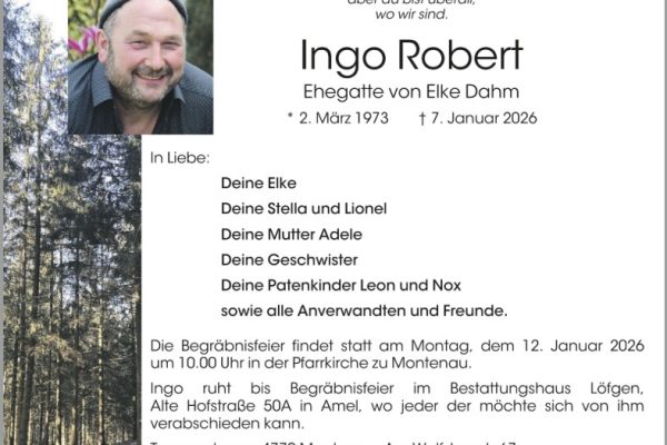 Ingo Robert