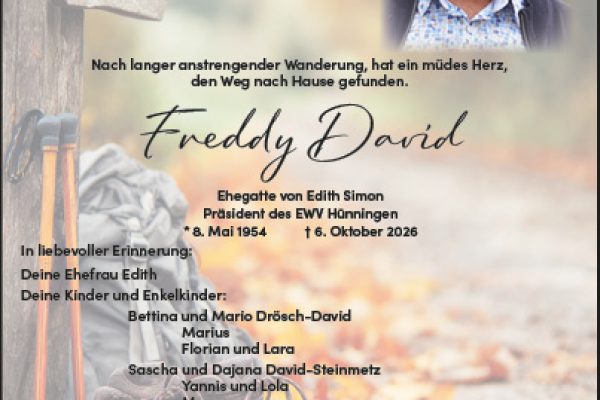 Freddy David